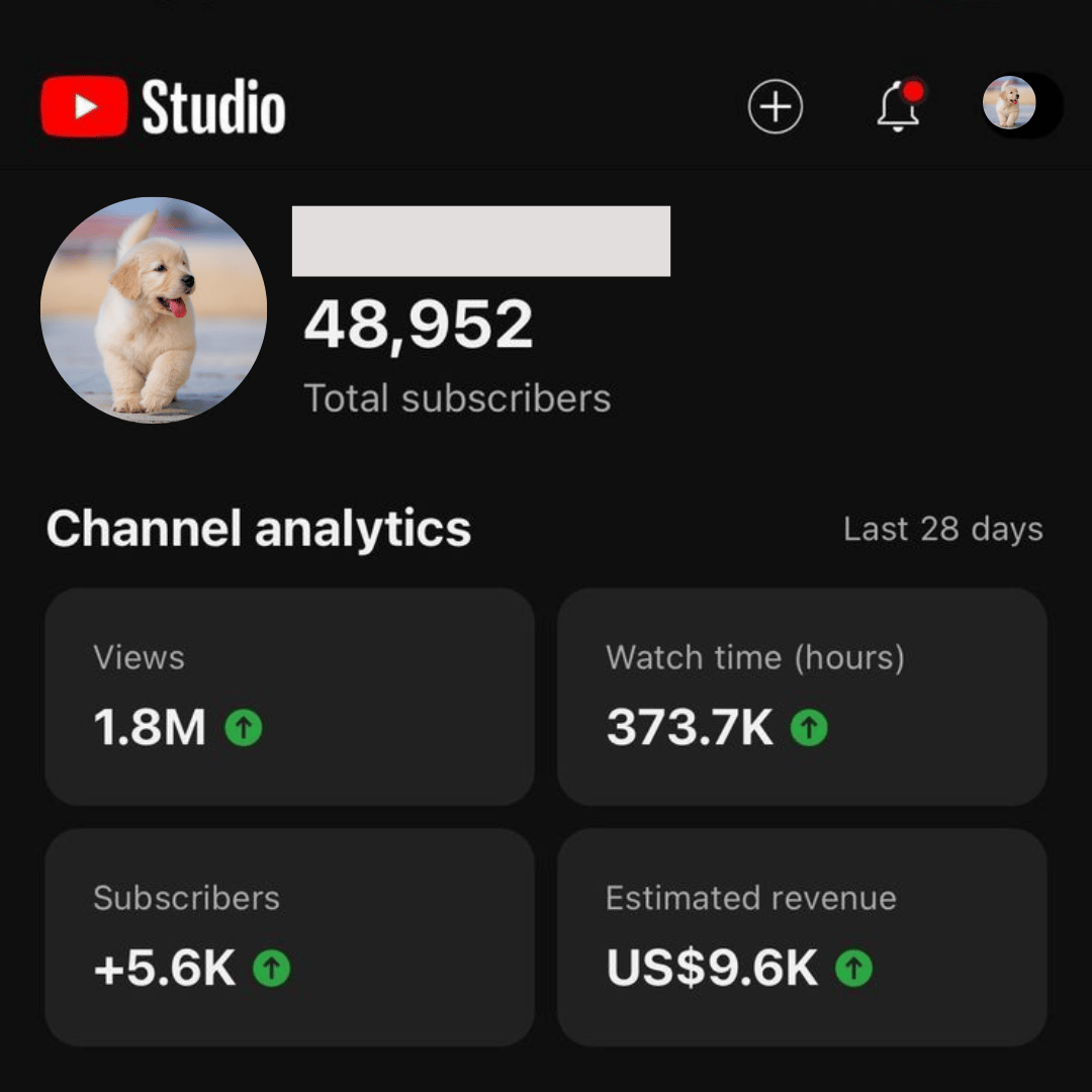 Youtube student result 4